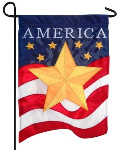 gold star and flag