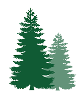 pine trees